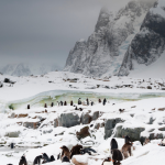 The Liquid Heart of Antarctica Exploring Its Lakes and Rivers