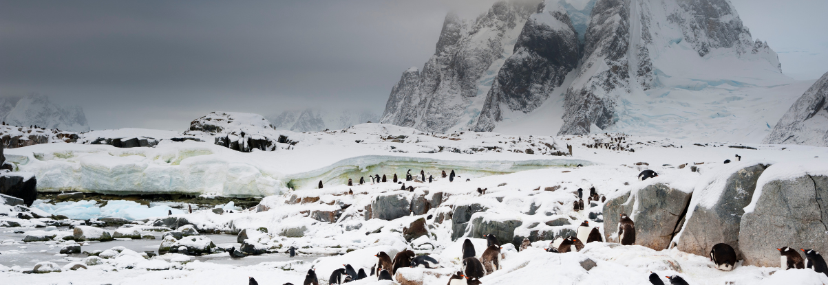 The Liquid Heart of Antarctica Exploring Its Lakes and Rivers